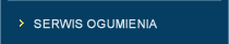Serwis ogumienia
